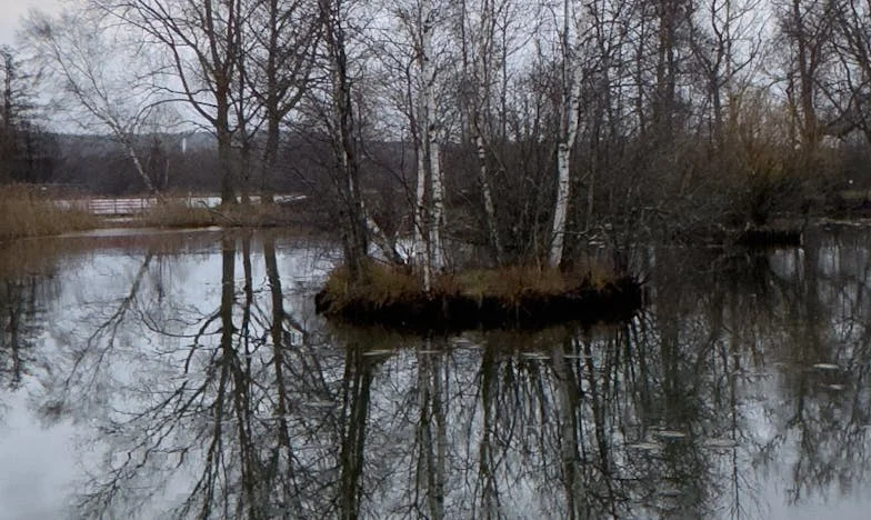 Descobri o segundo celular dele… Mas a verdade era muito diferente do que eu imaginava