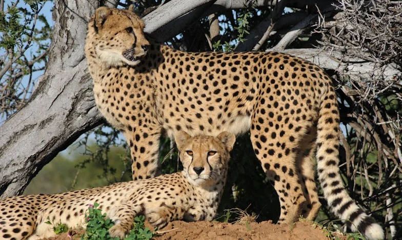 Ele foi embora e eu só sorri