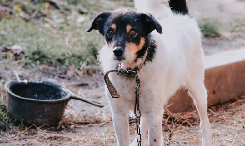 Ele Nem Tentou Me Impressionar — E Foi Por Isso Que Eu Escolhi o Marlon