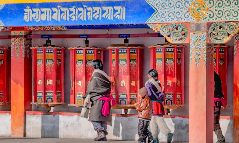 Irmãs, Sangue e Lágrimas: Como Parei de Falar com Minha Irmã