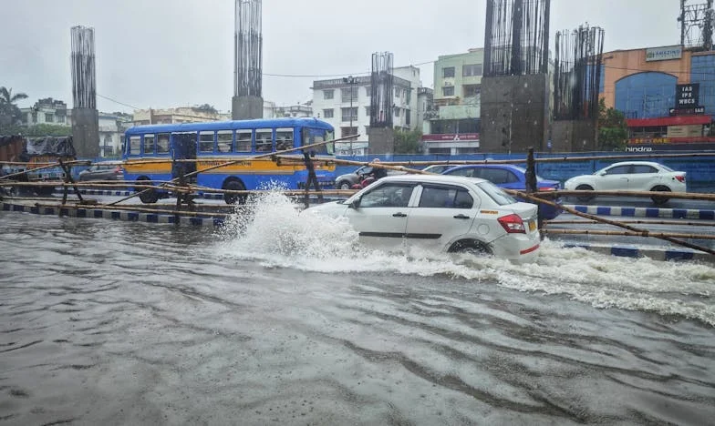 Mosaico de Flores: Fragmentos de uma Vida
