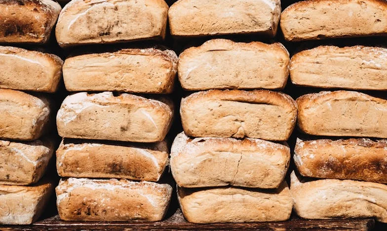 Quando Minha Família Me Virou as Costas: A Noite em Que Me Tornei Estranha em Minha Própria Casa
