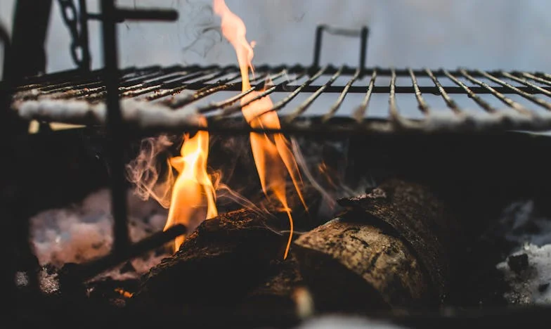 Sem Berço: O Coração de Uma Mãe no Meio do Caos
