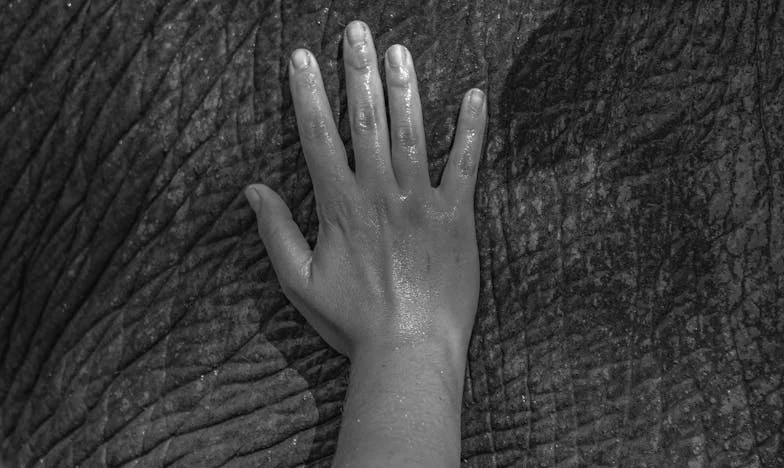 „Add át a lakásod, és megkapod az enyémet” – Egy magyar család drámája a négy fal között