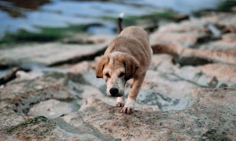 Miért én vigyáztam anyára? – Egy testvérharc, amely mindent megváltoztatott