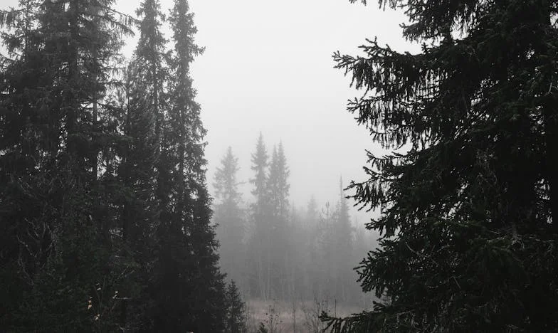 Ne számítsatok ránk – Amikor a múlt visszakopog az ajtón