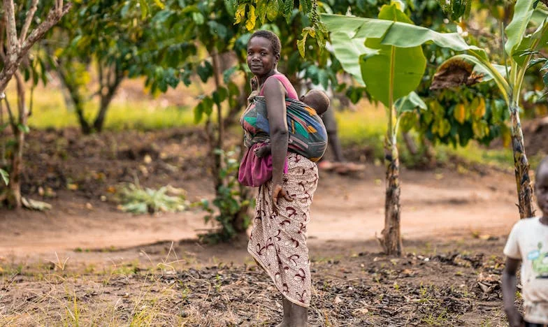 Az éjszaka, amikor hagytam elmenni az utolsó vonatot