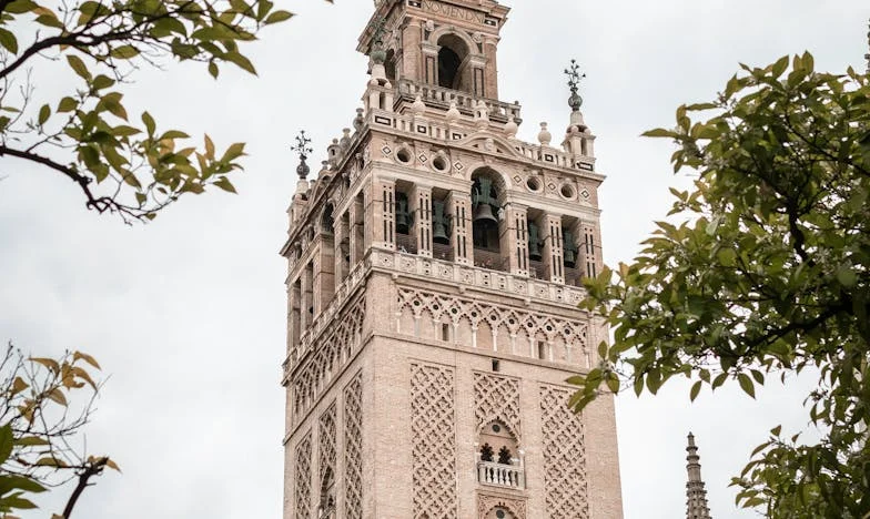 „Képzeld el, az anyósom újra férjhez akart menni, de én helyre tettem!” – Egy veje döbbenetes telefonhívása mindent megváltoztatott