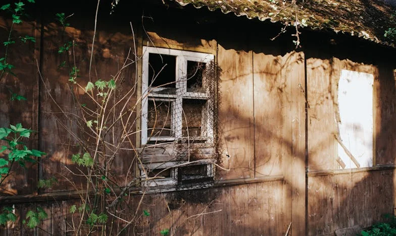 „Kérlek, ne bánts! Már mindent elvettek tőlem…” – Egy milliomosnő és egy egyedülálló apa sorsfordító találkozása a budapesti éjszakában