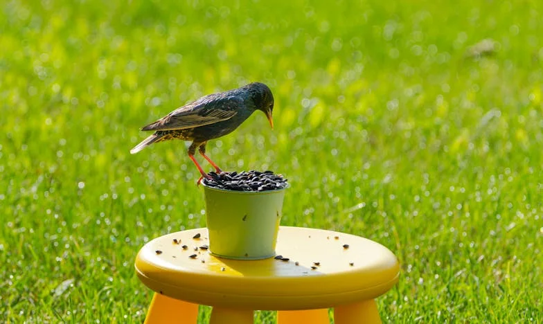 Chassée de chez moi à dix-sept ans : dix ans plus tard, ils reviennent frapper à ma porte