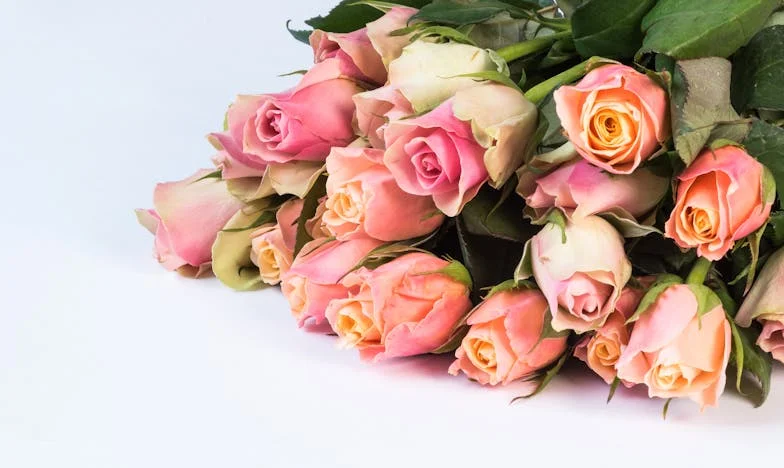 Deux Frigos, Un Seul Foyer : Chronique d’une Mère Blessée