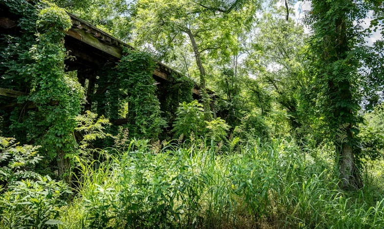 Divorcer à 65 ans : l’histoire de Bernard, ou comment oser tout recommencer