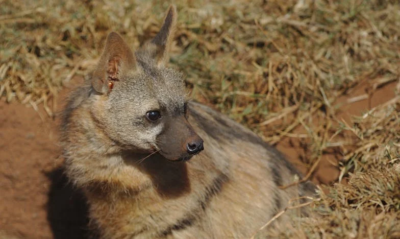 Dix ans de sacrifices pour rien ? Quand la famille devient prison