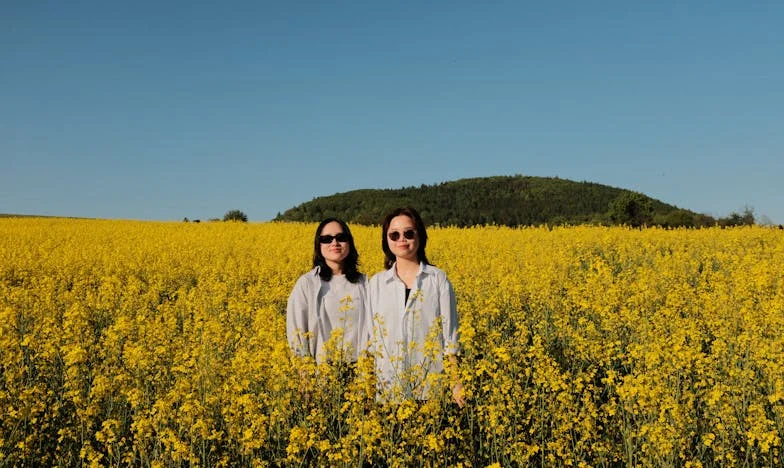 Entre deux feux : Ma femme, ma belle-mère et moi