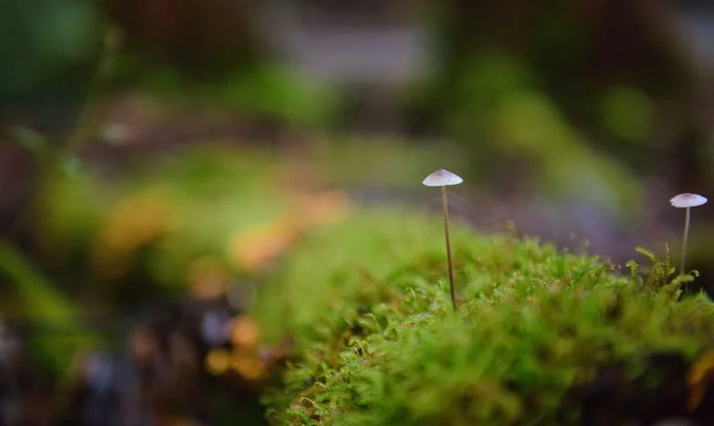 J'ai Ouvert Ma Porte à Mon Ex-Belle-Fille : Mon Fils Est Devenu Un Étranger