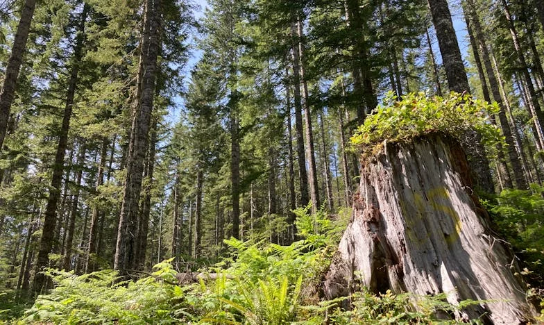 Je t’ai demandé une seule chose, et tu n’as pas compris : l’histoire de Claire et son fils Julien