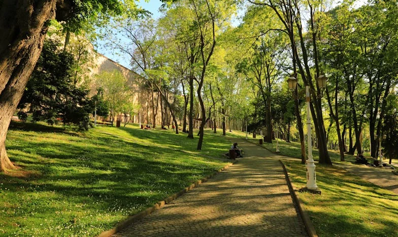 L'amour d'une mère : Combler le fossé