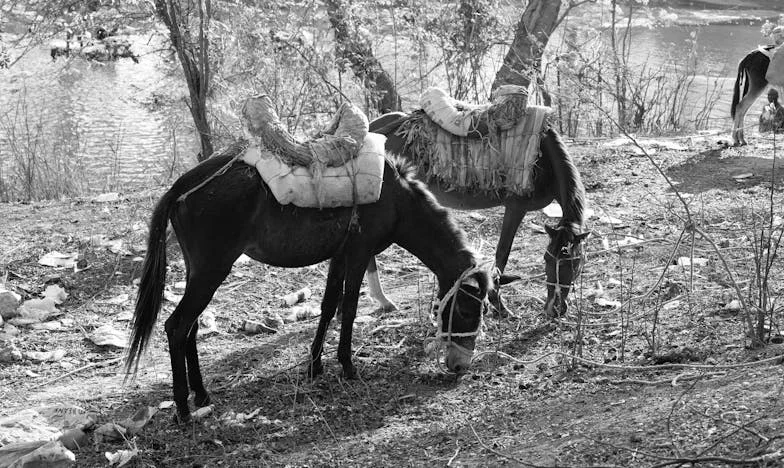 Le prix du silence : Confessions d'une mère française face à la spirale du jeu