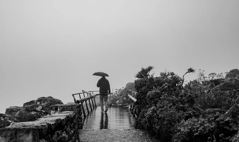 Le Silence d'Élodie : Ce que Ma Belle-Fille Ne M'a Jamais Dit