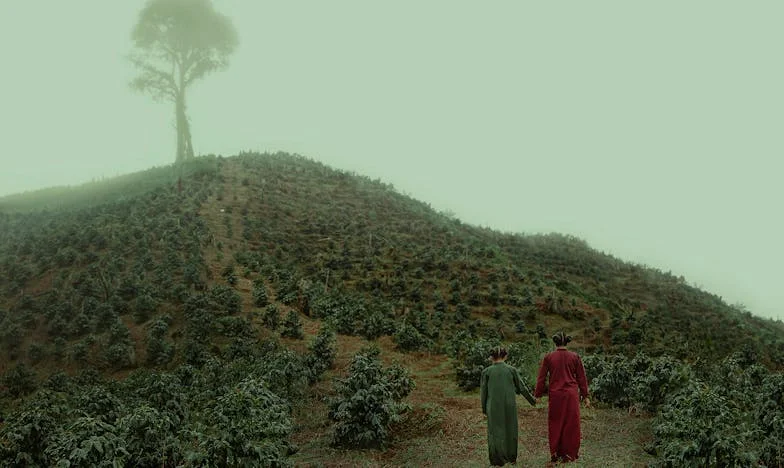 Les étagères du froid : une guerre silencieuse sous le même toit