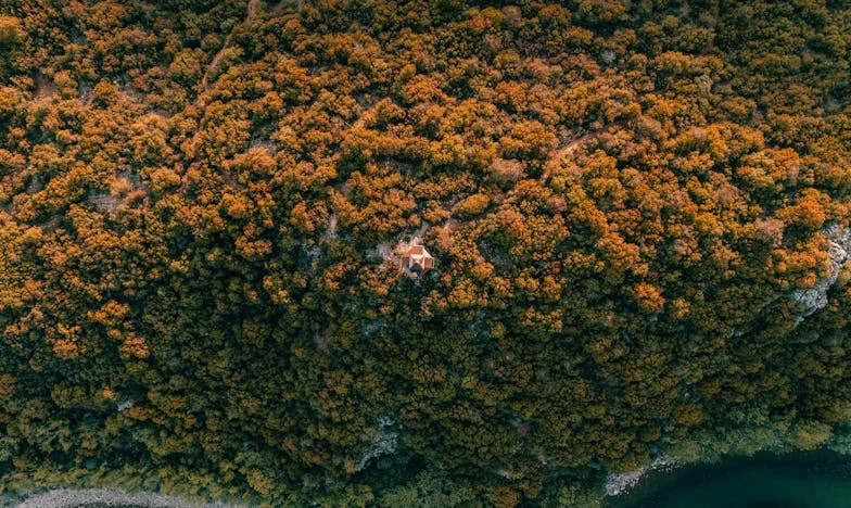 Liens brisés : Le prix du pardon dans une famille française
