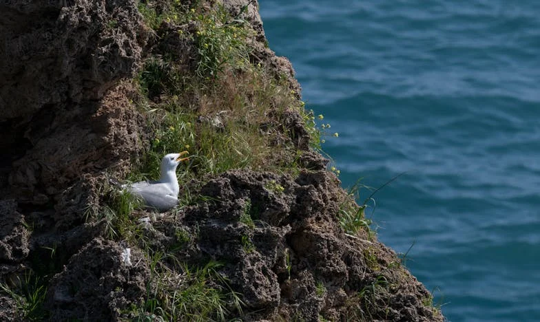 Ma fille dit que je suis une mauvaise grand-mère : le poids de l'amour et des attentes