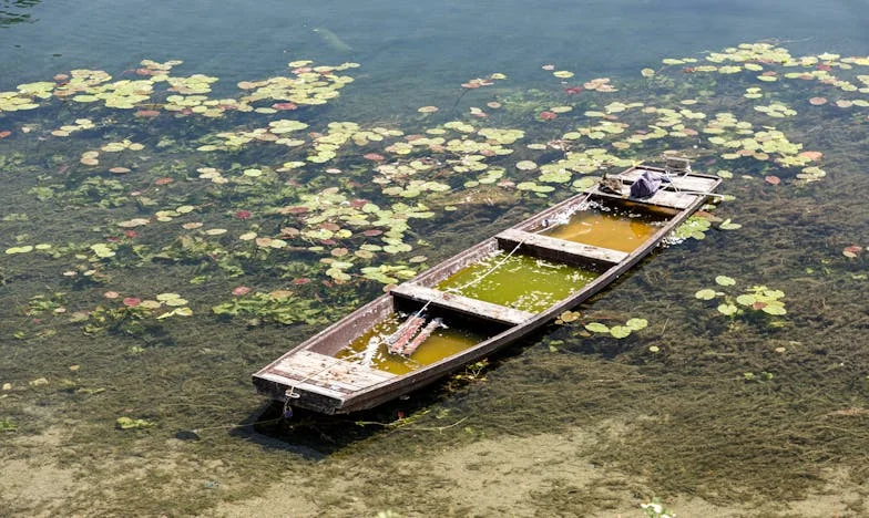 Ma mère n’a plus le droit de venir : quand l’amour devient une prison