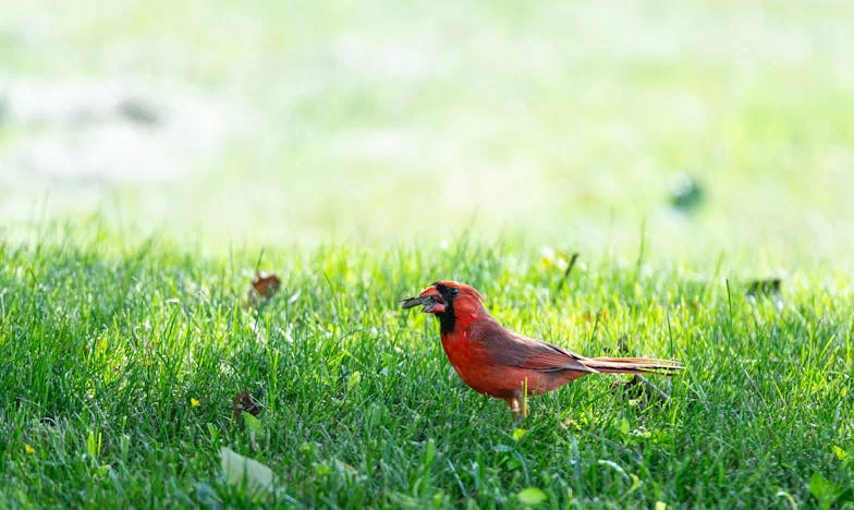 Papa est revenu après vingt ans : Dois-je vraiment lui ouvrir ma porte ?