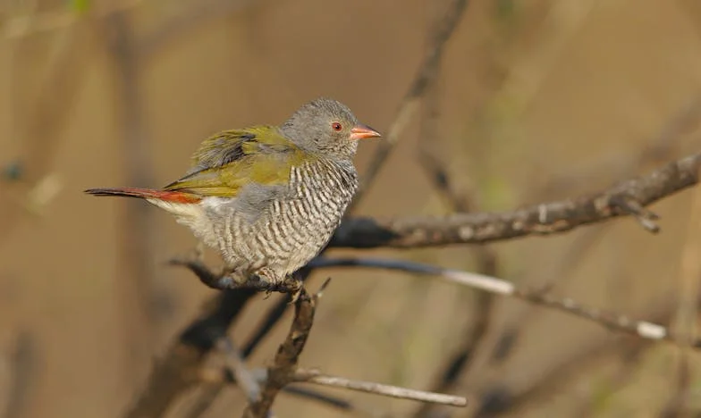 Quand l’amour filial s’effrite : le silence de mes enfants