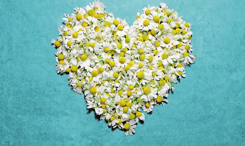 Regret au cœur : Quitter ma jeune épouse pour mon premier amour