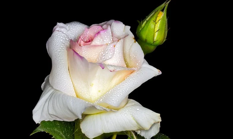 Trois ans d'absence : le retour de Mathieu