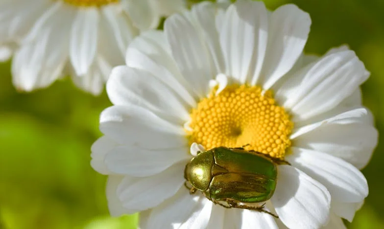 Tu m’as laissée, on est des étrangères maintenant : le cri du cœur de ma fille