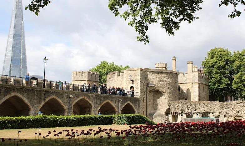 Un jour, mon mari s'est effondré dans le jardin : ma vie a basculé, mais je ne peux pas l'abandonner