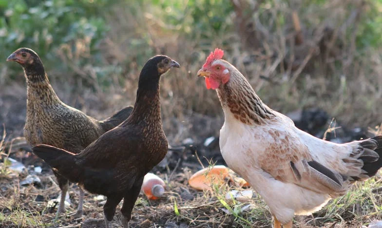 Vacances à l’ombre des secrets : Quand la famille s’invite sur le sable