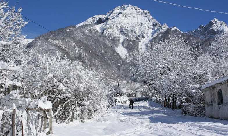 Au bord du gouffre : L’histoire de Camille et la blessure des mots