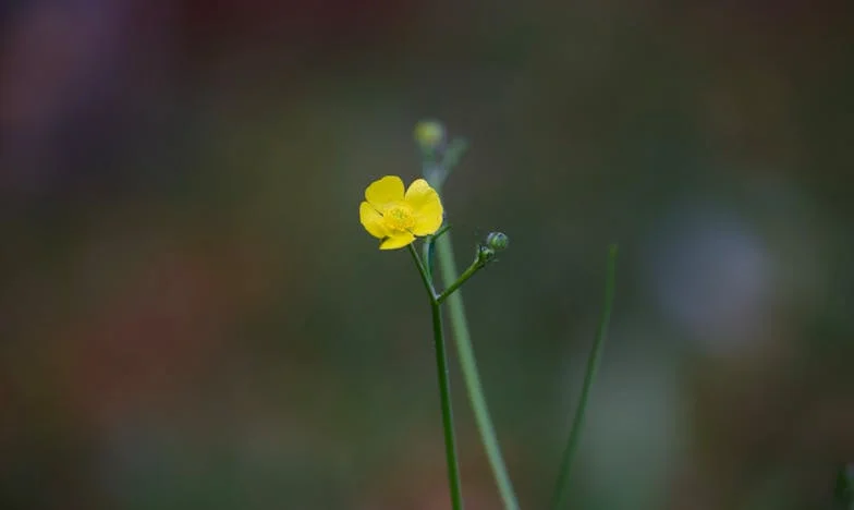 « Ce n’est pas un travail d’homme ! » : Le matin où ma belle-mère a vu mon mari préparer mon petit-déjeuner