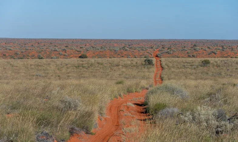 Cinq Mois Sous le Même Toit : Mon Beau-Père, Mon Enfer