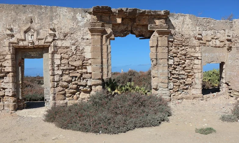 De l’ombre à la lumière : le parcours bouleversant de Camille