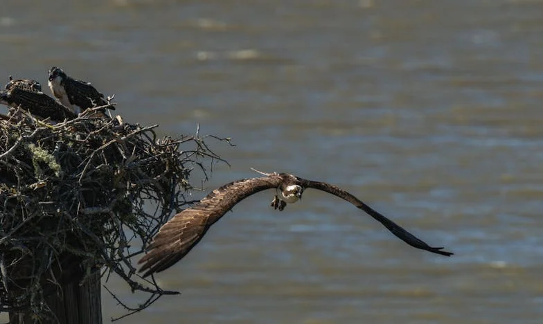 Elle a enfin décidé de laisser son fils grandir : l’histoire de Claire et Julien