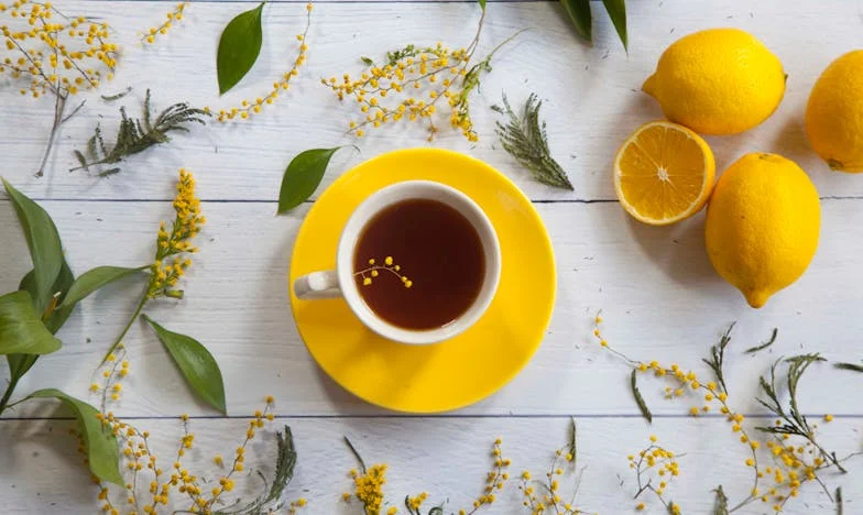 Entre Deux Feux : Ma Belle-Mère, Ma Femme et Moi