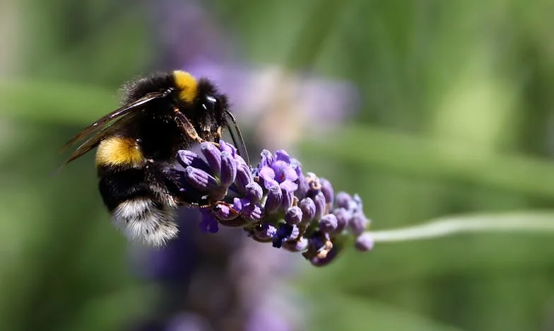 Entre le sang et le choix : Mon père veut décider de ma vie