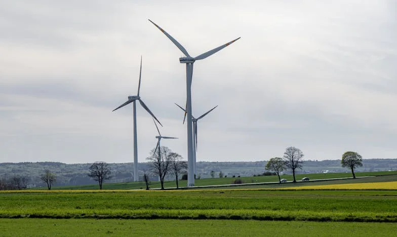 Étiquetée de Paresseuse : Mon Combat pour la Qualité et la Reconnaissance