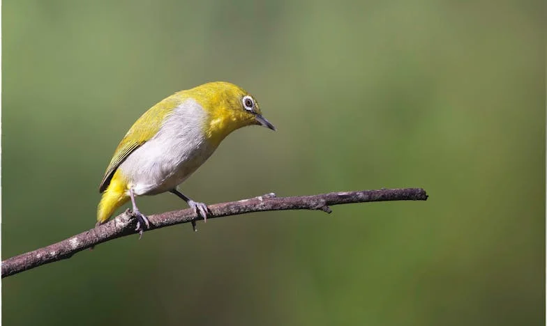 J’ai choisi de traiter mon fils et ma belle-fille comme ils me traitent : le prix du respect réciproque