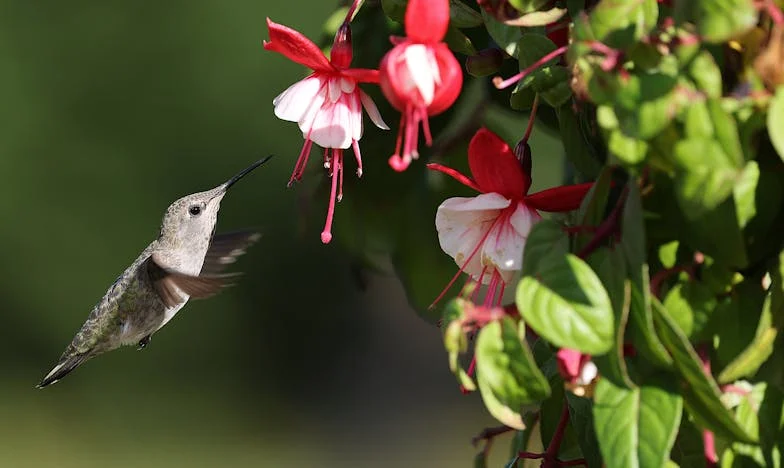 « Je ne suis pas une bonne mère » : Le poids invisible que j’ai porté pendant des années