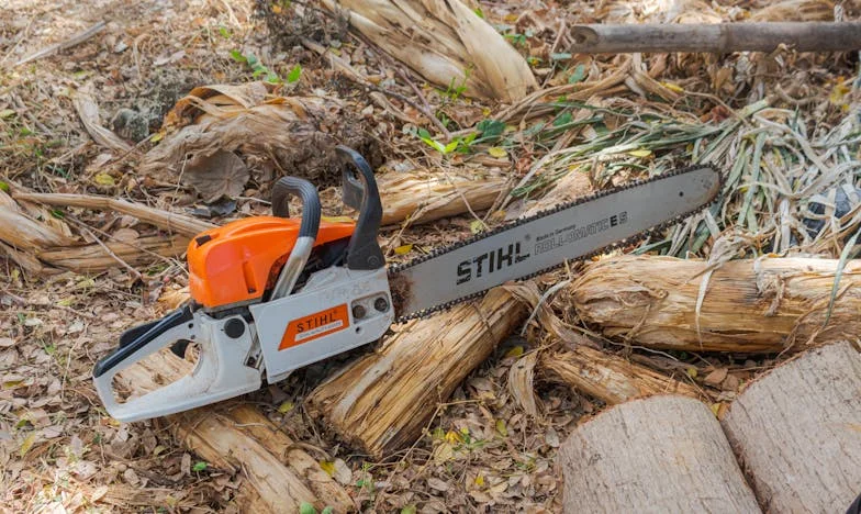 La cabane du lac : vengeance d’une institutrice retraitée