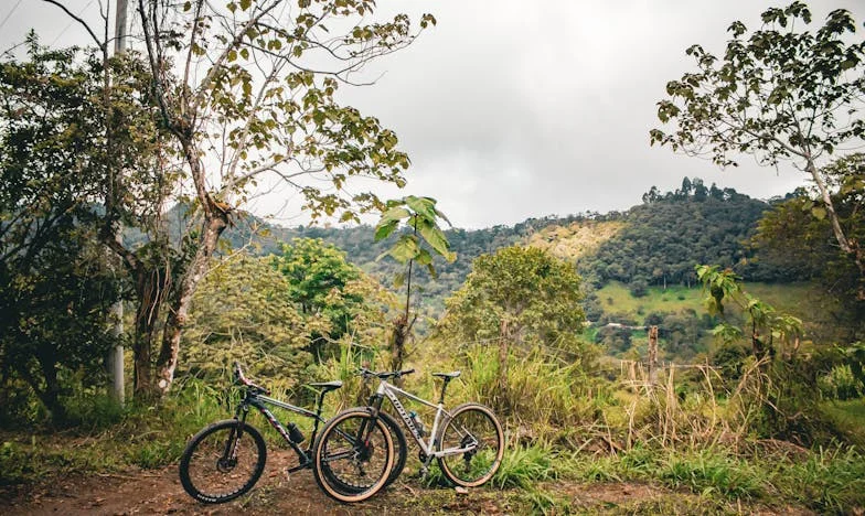 La honte de mon fils : Chronique d’un mariage sans parents
