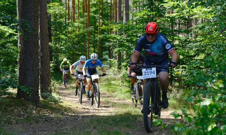 La Maison Volée : Chronique d'une Injustice Familiale
