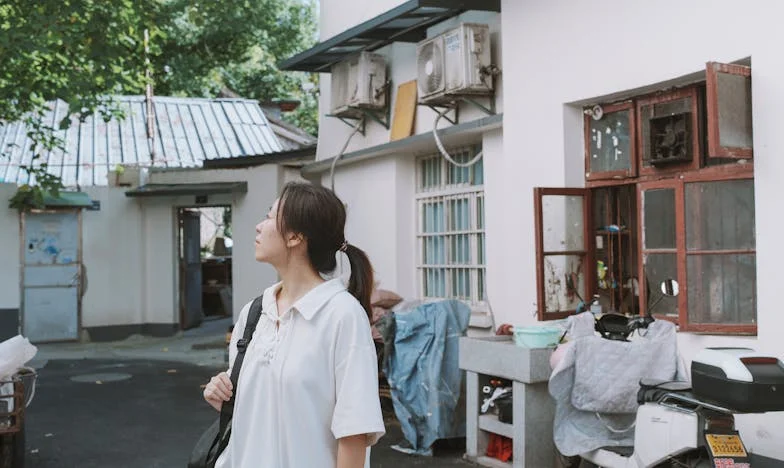 Le Dernier Adieu de Vincent