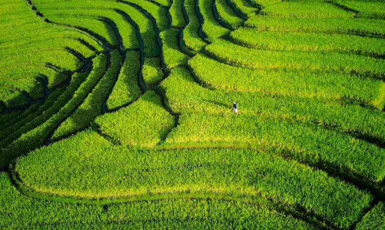 Le jour où Papa a refusé de payer ma robe de mariée