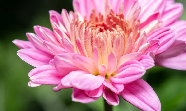 Le jour où tout a basculé : Un téléphone perdu, une rencontre bouleversante